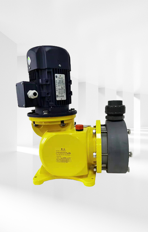 加药装置计量泵 加药装置计量泵